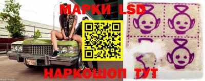 прущие грибы Кунгур