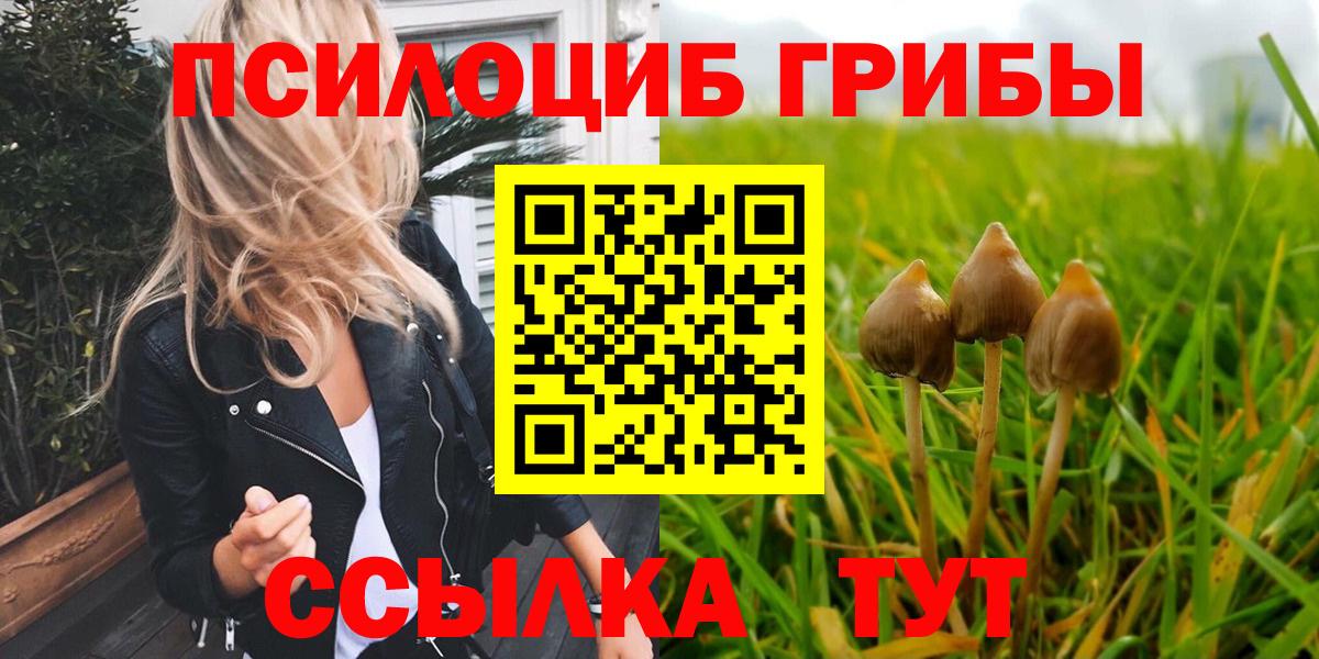  COCAIN Дедовск